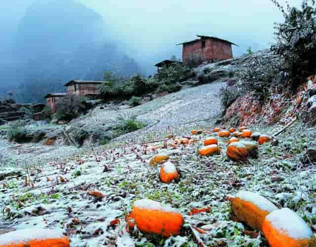 公司资金购买私募