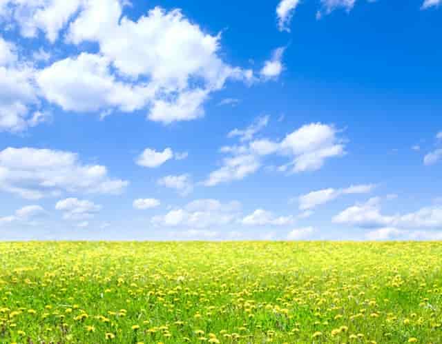 买房用的公积金可以贷款多少