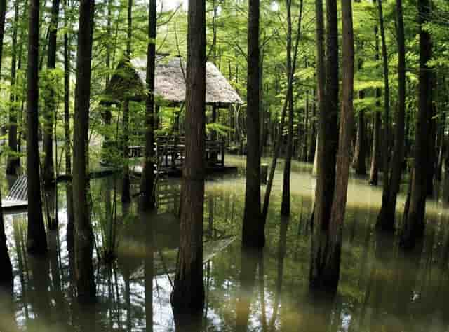 平湖大巴到宁波(平湖到宁波大巴多久)