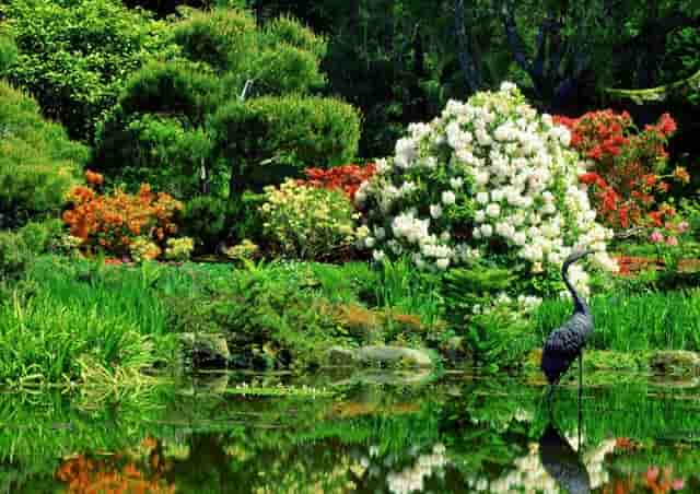 斯琴塔娜博物馆建馆十周年暨“追梦草原”香港大学生内蒙古暑期实习活动10周年即将推出“中华优秀传统文化传承创新论坛”