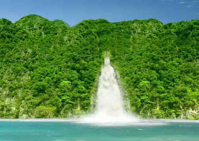 袖虎病狗攻略：狗狗口腔保健，拒绝口臭