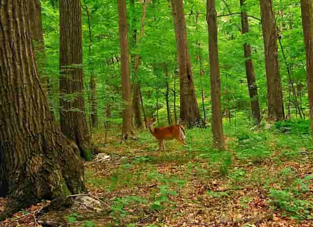 广东第一外卖平台