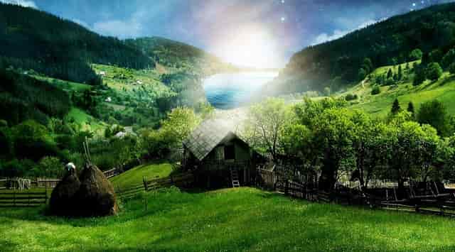 摸甲鱼时为什么要拍水