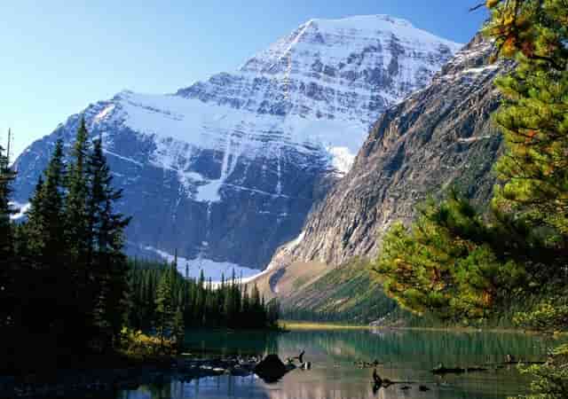 蔡嘉珍成功獲得註冊理財規劃師資格