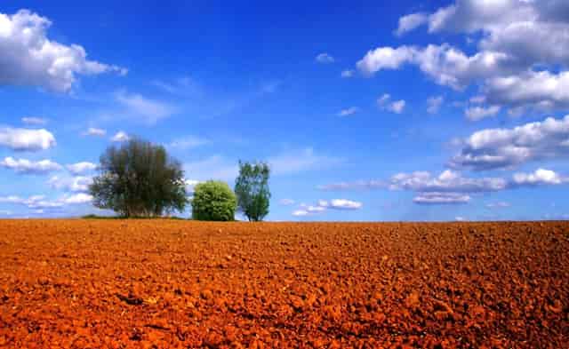 怎么才是真实的你