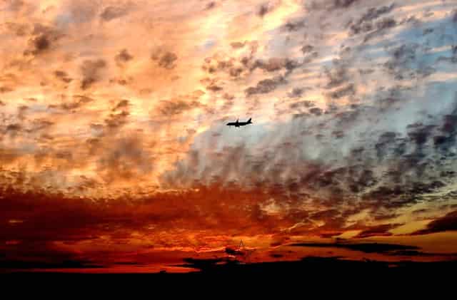 幽门杆菌f级别(幽门螺旋杆菌有分级别吗)