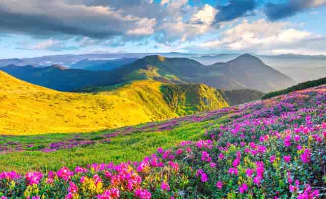 最权威百强县榜单(2020全国经济百强县榜单)