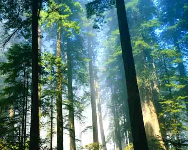 杏仁优护：老年人得了糖尿病，如何照顾护理？