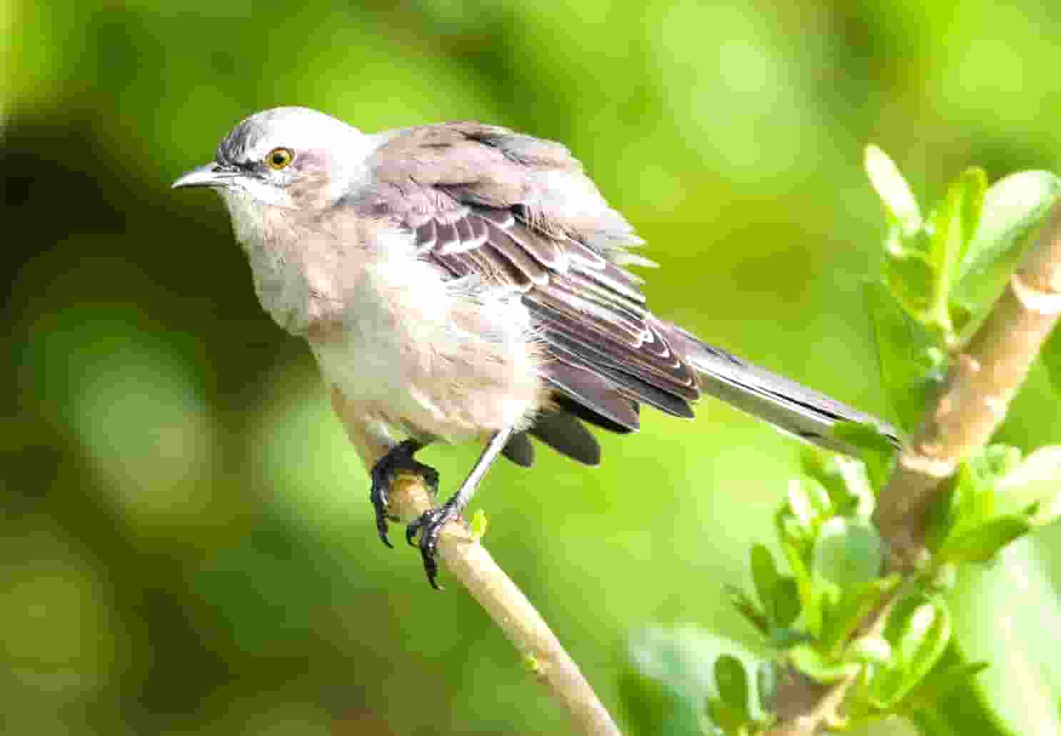 教师-学生-考试