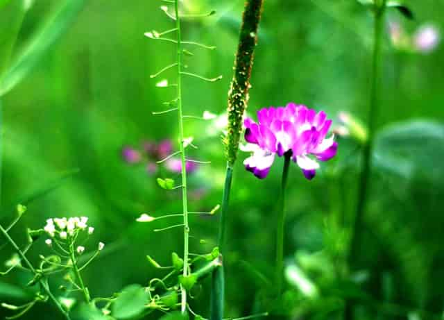 辽宁红河峡谷漂流旅游遭不公待遇 始作俑者遭调离