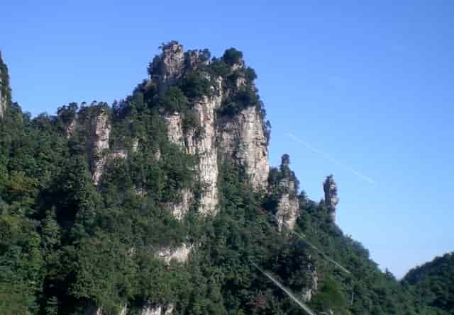 袖虎分享，遛狗有利于狗狗健康