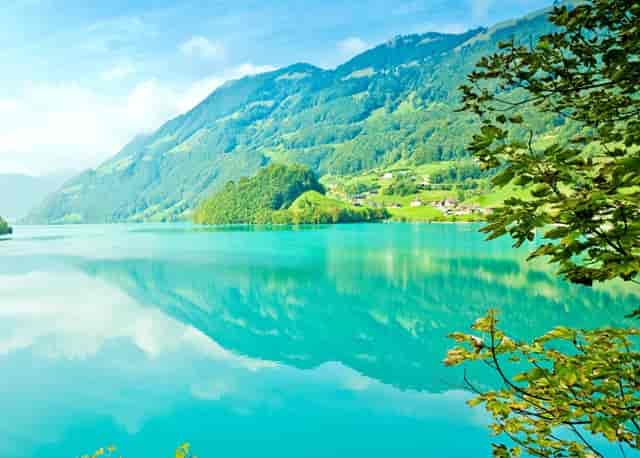 东京奥运金牌全记录(东京奥运金牌预测)