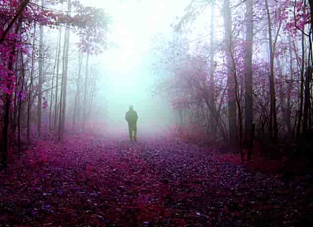 双彩球各奖奖金