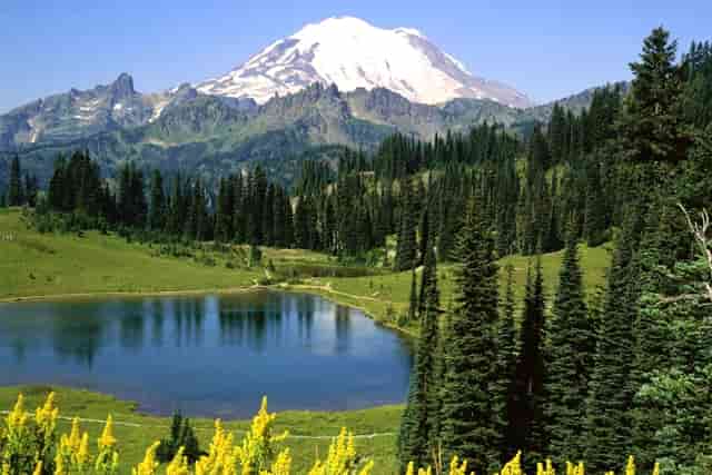 荆门西瓜产地在哪里(8424西瓜产地在哪里)