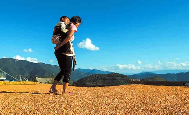 专业选择及未来