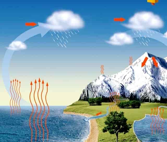 首付款达2.45亿美元！杨森引进西比曼生物两款CAR-T产品