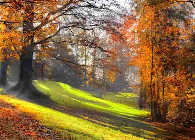 2024 JPM大会|多赛道创新药企唱响中国之声，引领发展趋势获业内认可