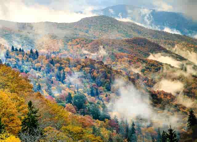 媳妇和儿媳吵架婆婆回娘家