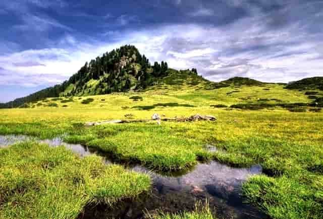 东京奥运中国女排队俄罗斯(希腊奥运中国女排对俄罗斯)