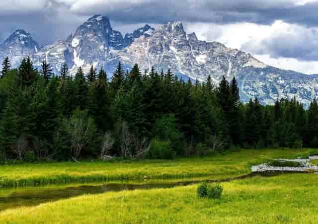 为什么有病不去医院治疗