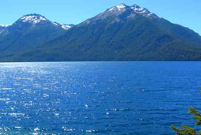 袖虎加盟：加盟诈骗是怎样的脑回路？