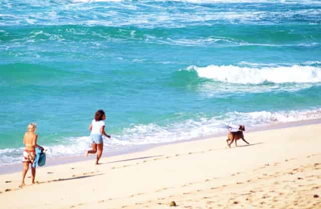 西比曼和杨森进一步深化合作  共同推动细胞治疗产品中国商业化进展