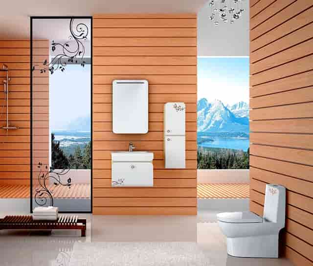 袖虎对常见的病猫治疗方案