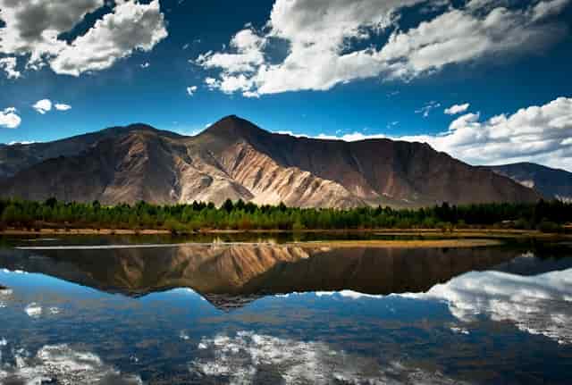 “现在光靠卖药肯定是不行了。”一位药店老板说。