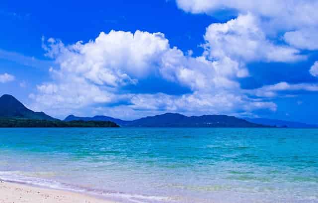 长沙云翼培训学校获喜报，高考小语种助你走进名校大门！