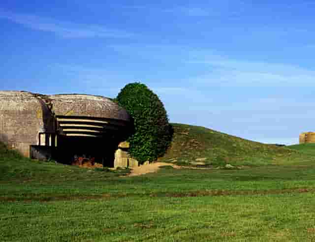 整治机动车不礼让斑马线和行人(机动车怎样礼让斑马线上的行人)
