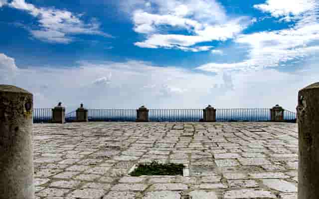 袖虎病狗攻略：狗狗喂食要注意，这几大误区可别沾