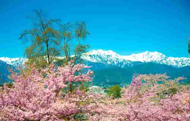 白银足浴店视频(白银君徽堂足浴怎么样)