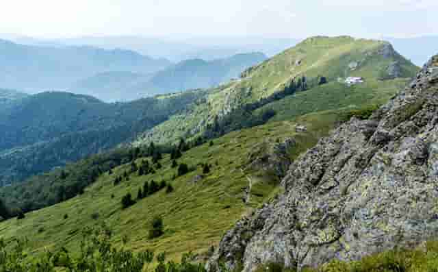 健康防疫码更改(怎么更改防疫健康码)