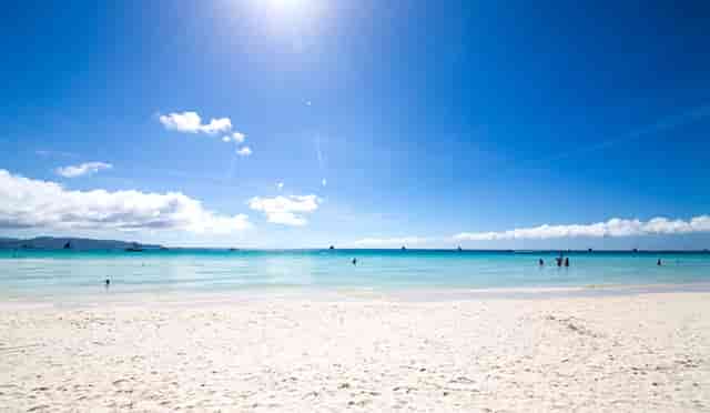 袖虎病狗攻略：金毛关节炎，必须小心