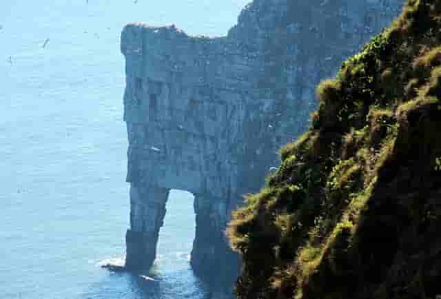 大学时考什么证最好(大学毕业可以考什么证)