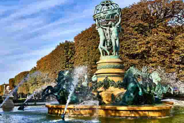 袖虎病狗攻略：狗狗鼻炎别大意