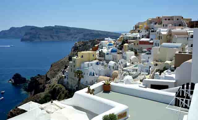 袖虎病狗攻略：狗狗喂养的4大误区和7大正确方法