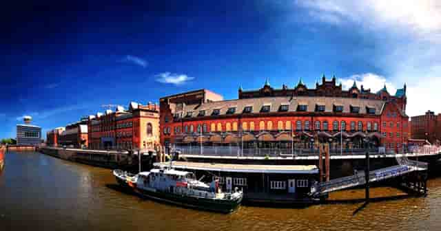 袖虎病猫攻略：猫咪嘴肿怎么办？