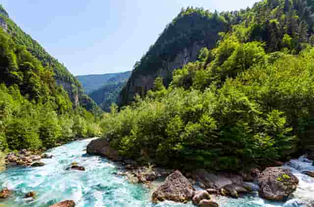 为什么要做完二次手术做鉴定