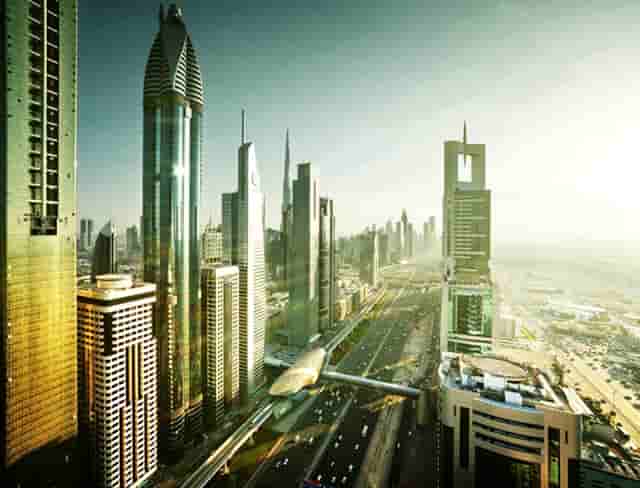 袖虎病猫攻略：猫便秘能喝牛奶吗