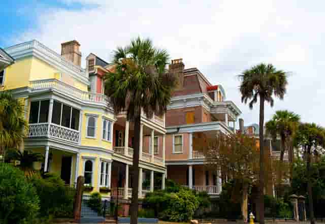 袖虎病狗攻略：狗狗体臭怎么办