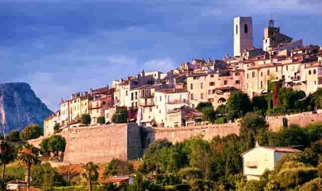 袖虎病猫攻略：猫咪得了角膜炎怎么办