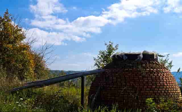 袖虎病猫攻略：对猫过敏怎么办