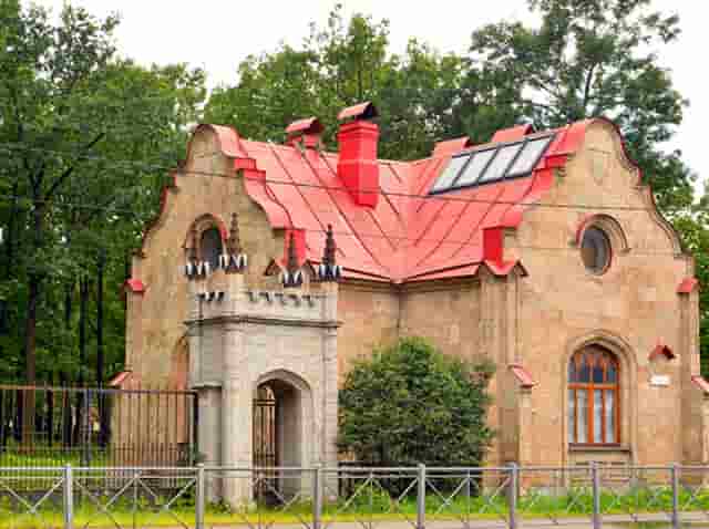 袖虎病猫攻略：猫猫上火那些事