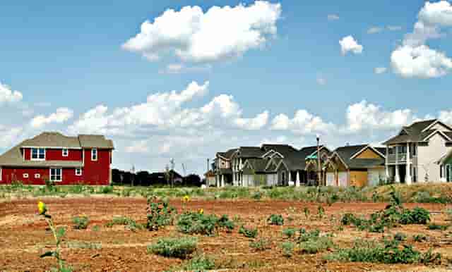 袖虎病猫攻略：猫咪吃罐头还拉肚子是有病吗？