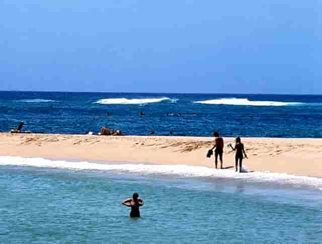 开宠物店需要多少钱？袖虎宠物低成本高收入！