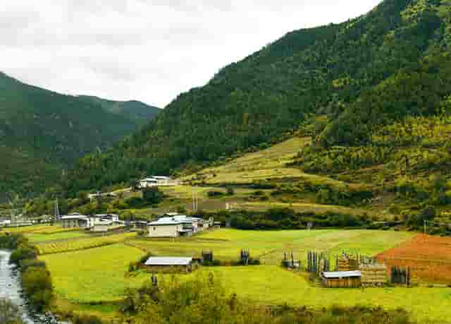 西比曼组建免疫和炎症疾病科学顾问委员会 加速自免疾病治疗领域研究进展