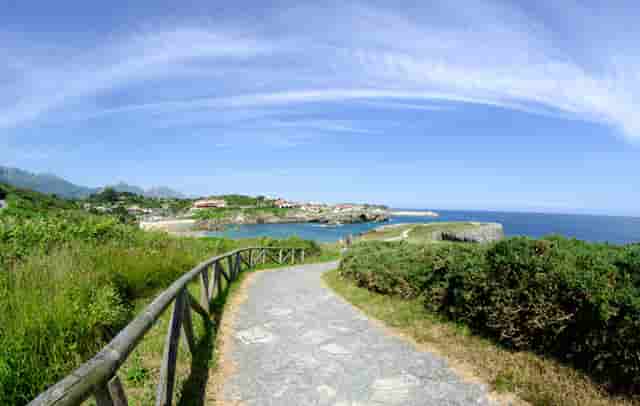 厦门台风应急响应级别(台风应急响应等级划分分别几级)